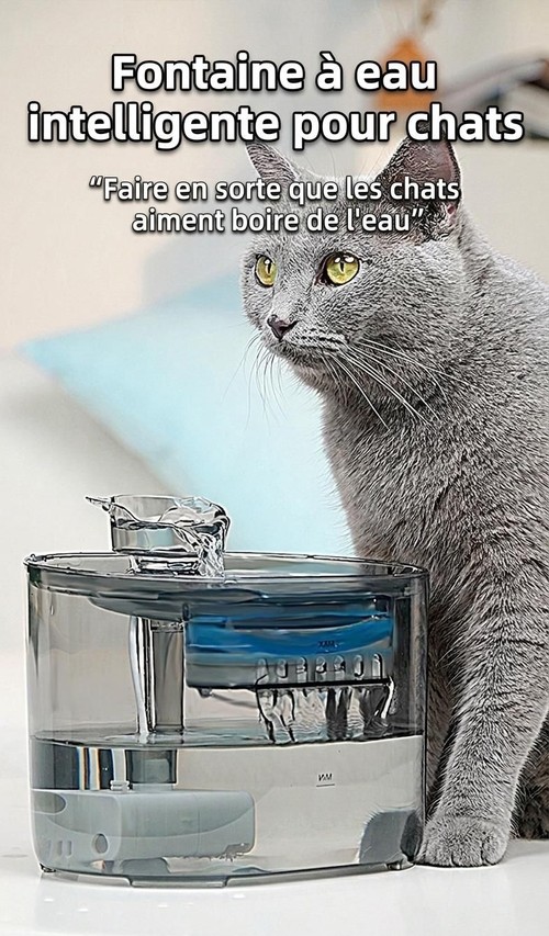 Fontaine à eau automatique pour chats et petits chiens - 2,2 L - Modèle n° FT666 Gris transparent - Sortie d'eau normale