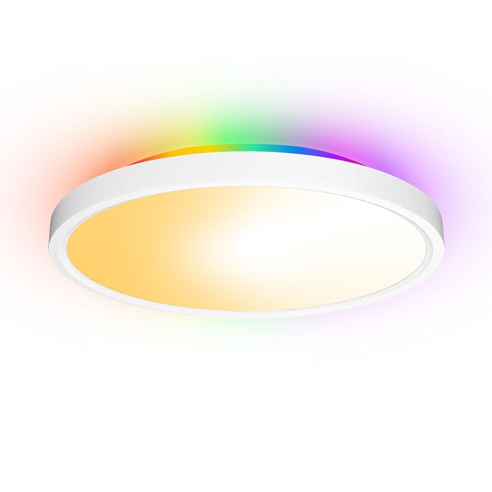 Smart LED Ceiling Light RGBIC Dimmable WiFi Alexa Google Home