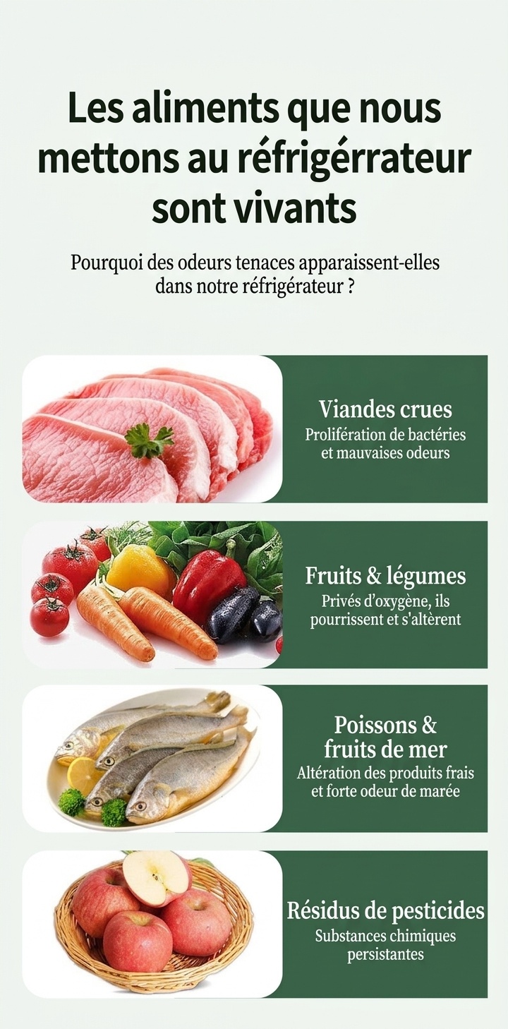 Désodorisant compact à l'ozone pour réfrigérateur, autonomie de 30 jours, élimine les odeurs et préserve la fraîcheur des aliments.