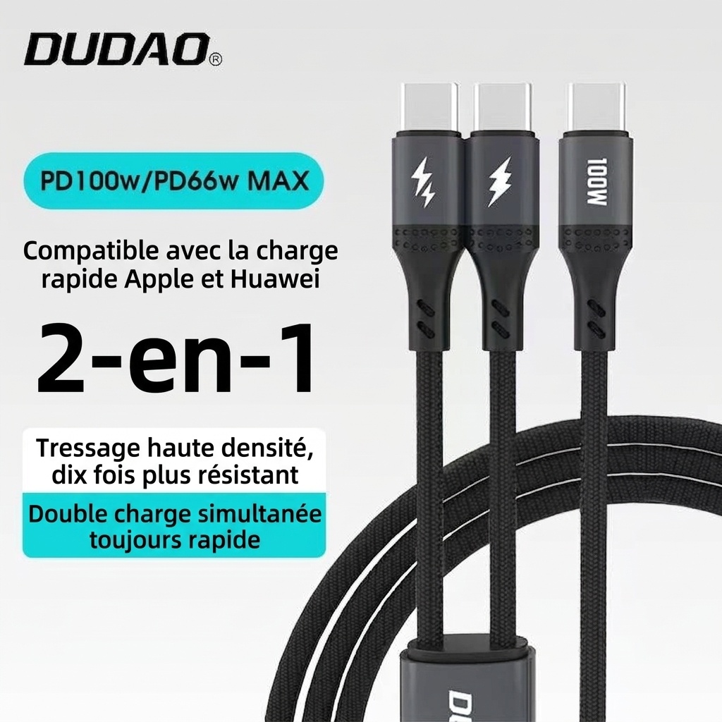 Câble de charge rapide USB-C 100 W 2-en-1 Type-C PD, conception tressée robuste, compatibilité universelle, noir