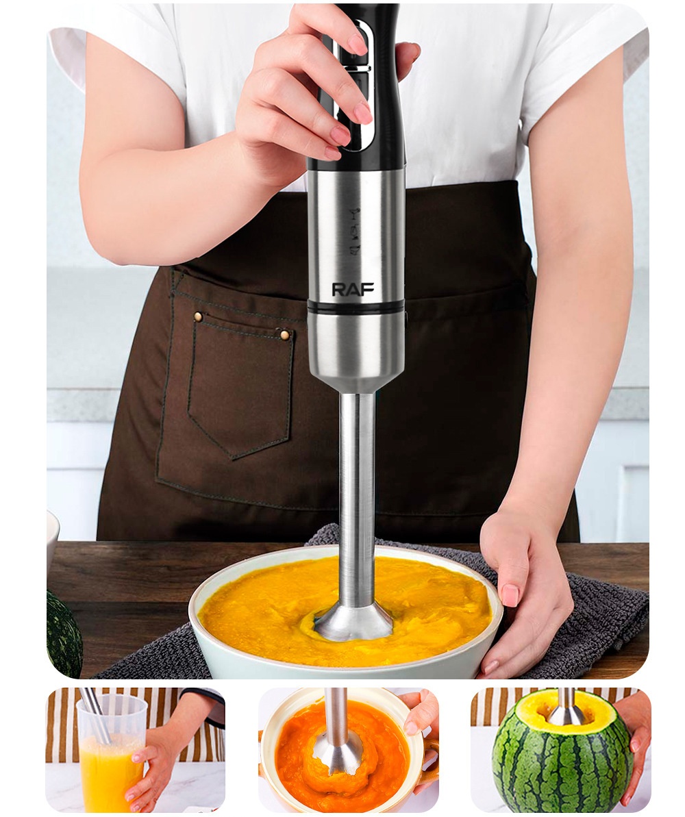 RAF R.278 800W Stabmixer – Edelstahl Schwarz