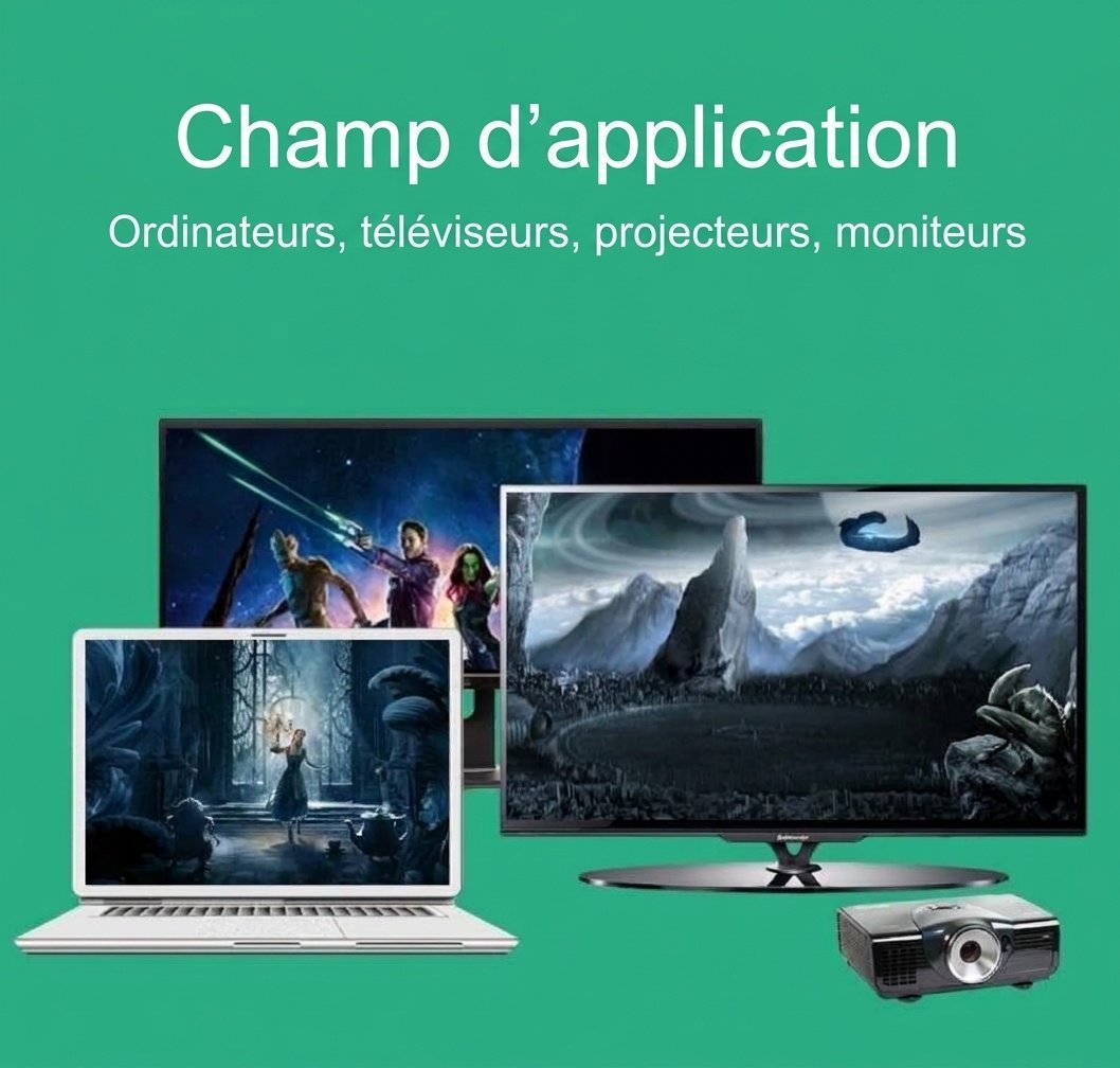Câble Mini DisplayPort vers DisplayPort 1.4 8K - Ultra HD