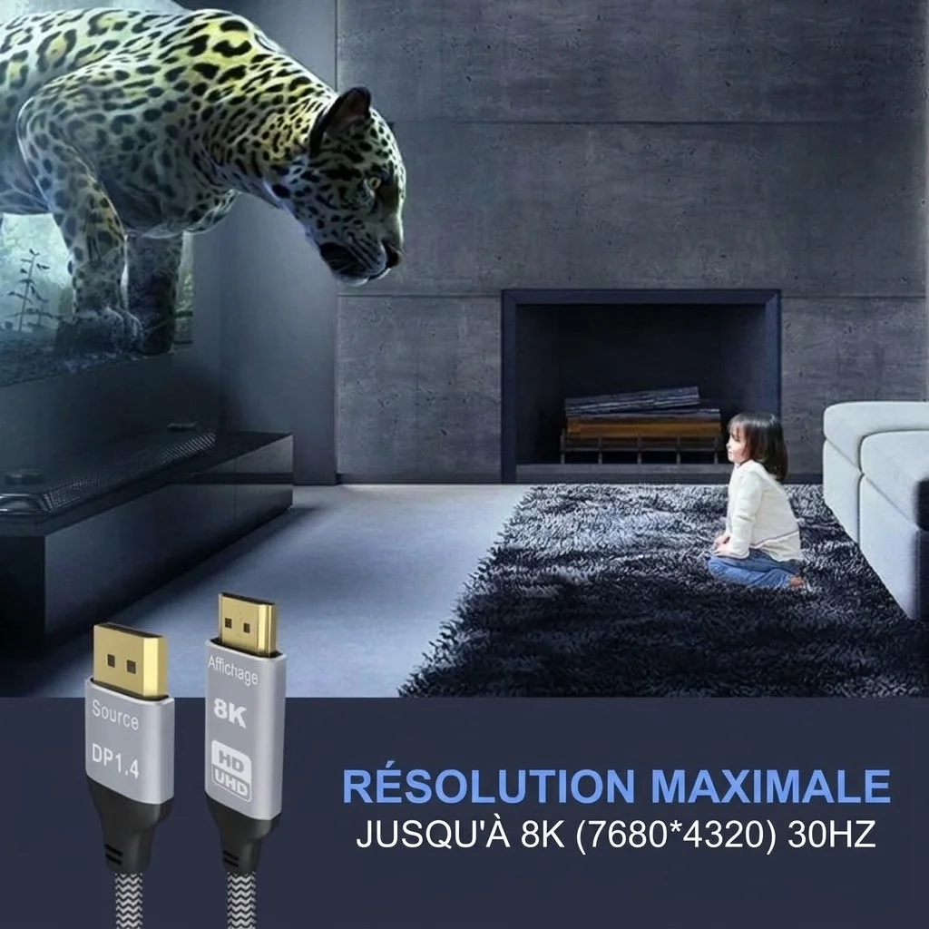 Câble DisplayPort 8K vers HDMI 1.4 - Adaptateur vidéo haute vitesse