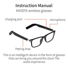 BL30 Black Plastic Smart Glasses #BS705-0013