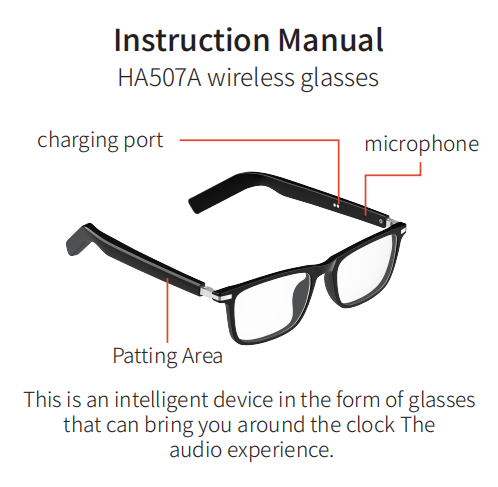BL30 Black Plastic Smart Sunglasses #BS705-0011
