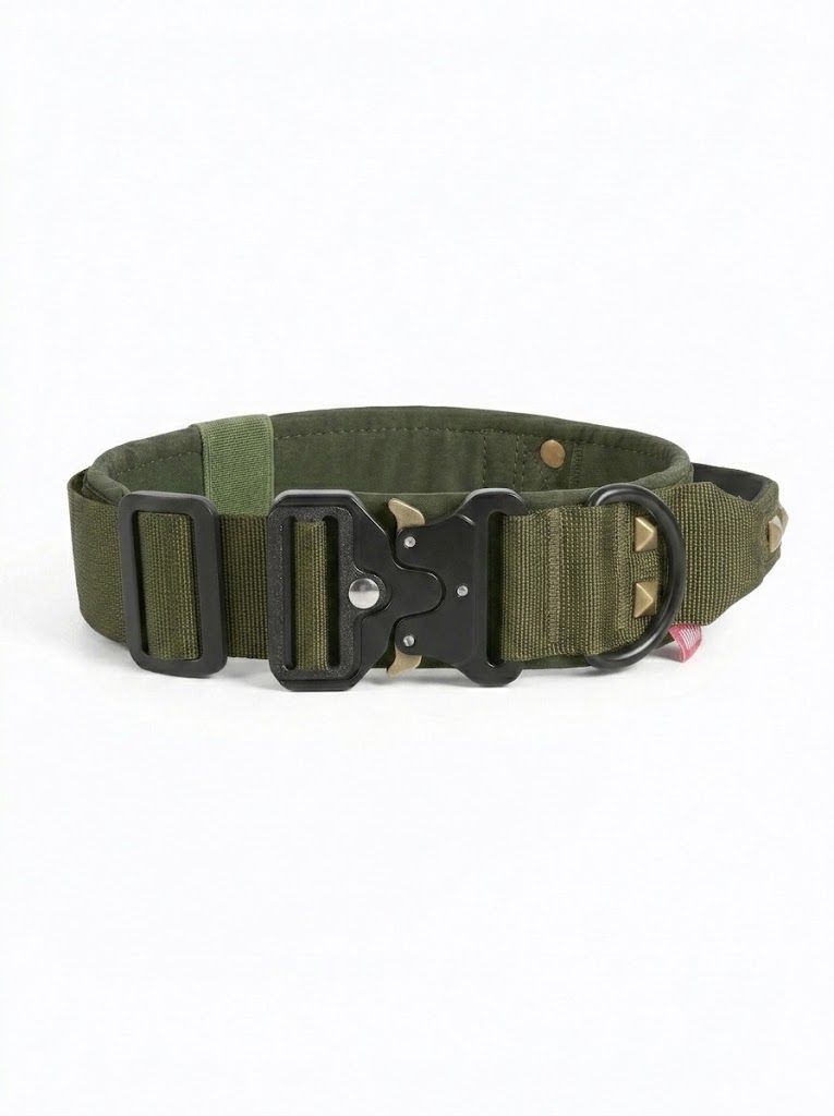 Tactical Dog Collar with Cobra Buckle & Studs - Heavy Duty