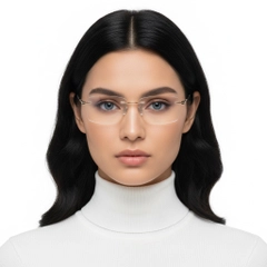 BS2012-0888_Golden_Invisible_Metal_Glasses_model