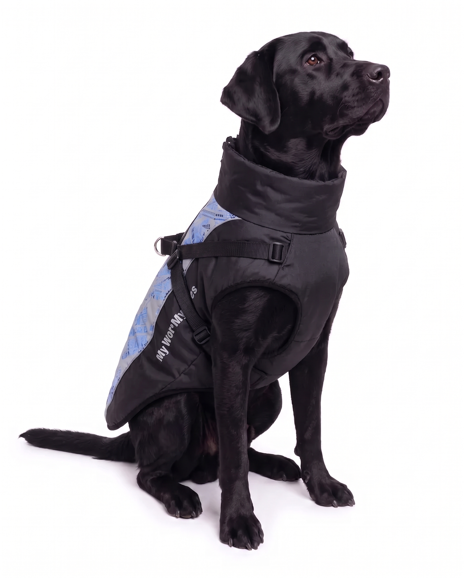 Cappotto invernale impermeabile e riflettente per cani con pettorina integrata.