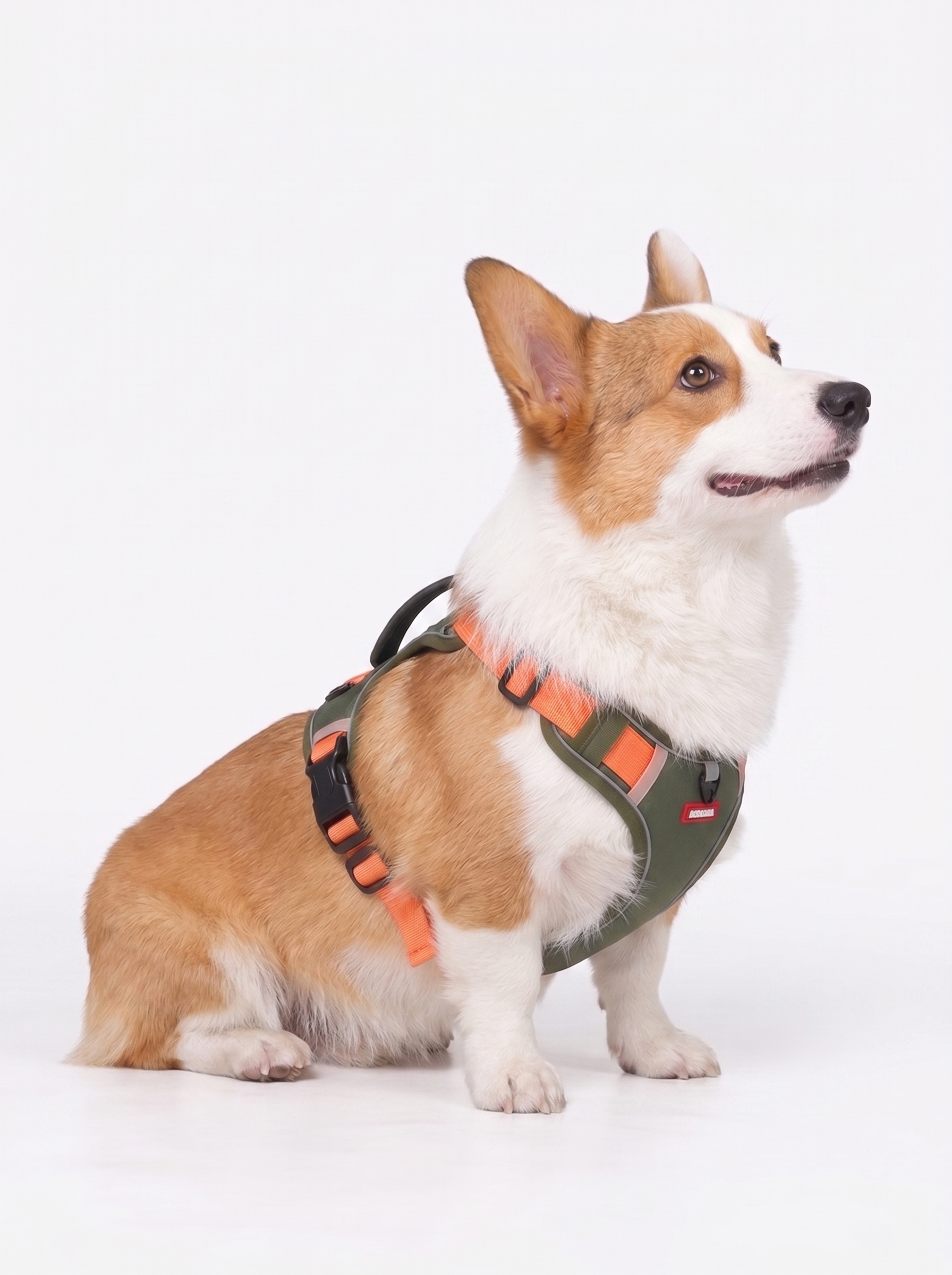 No-Pull Reflective Dog Harness with AirTag Pocket & Handle