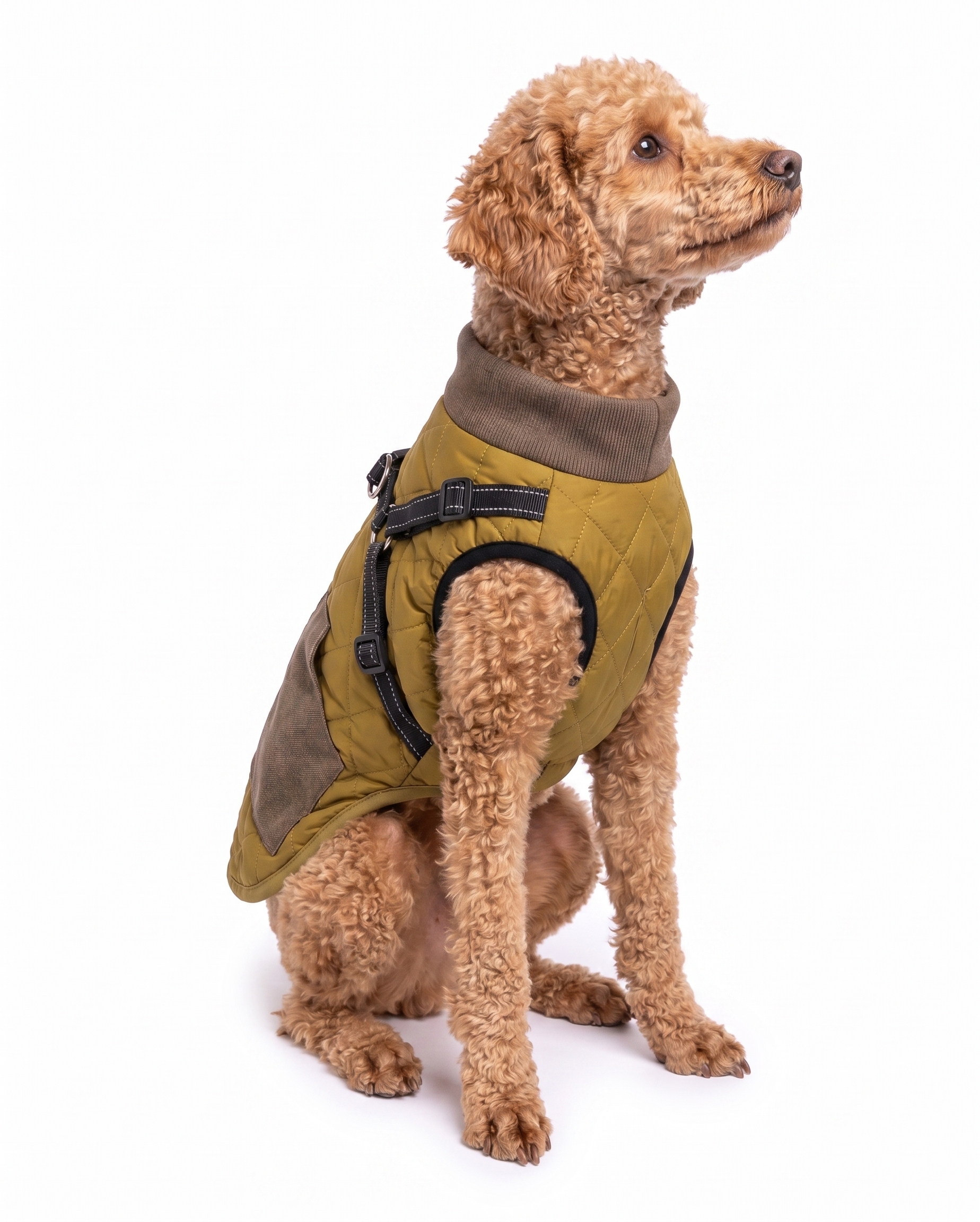 Warm Dog Vest Harness with Reflective Straps & Zipper