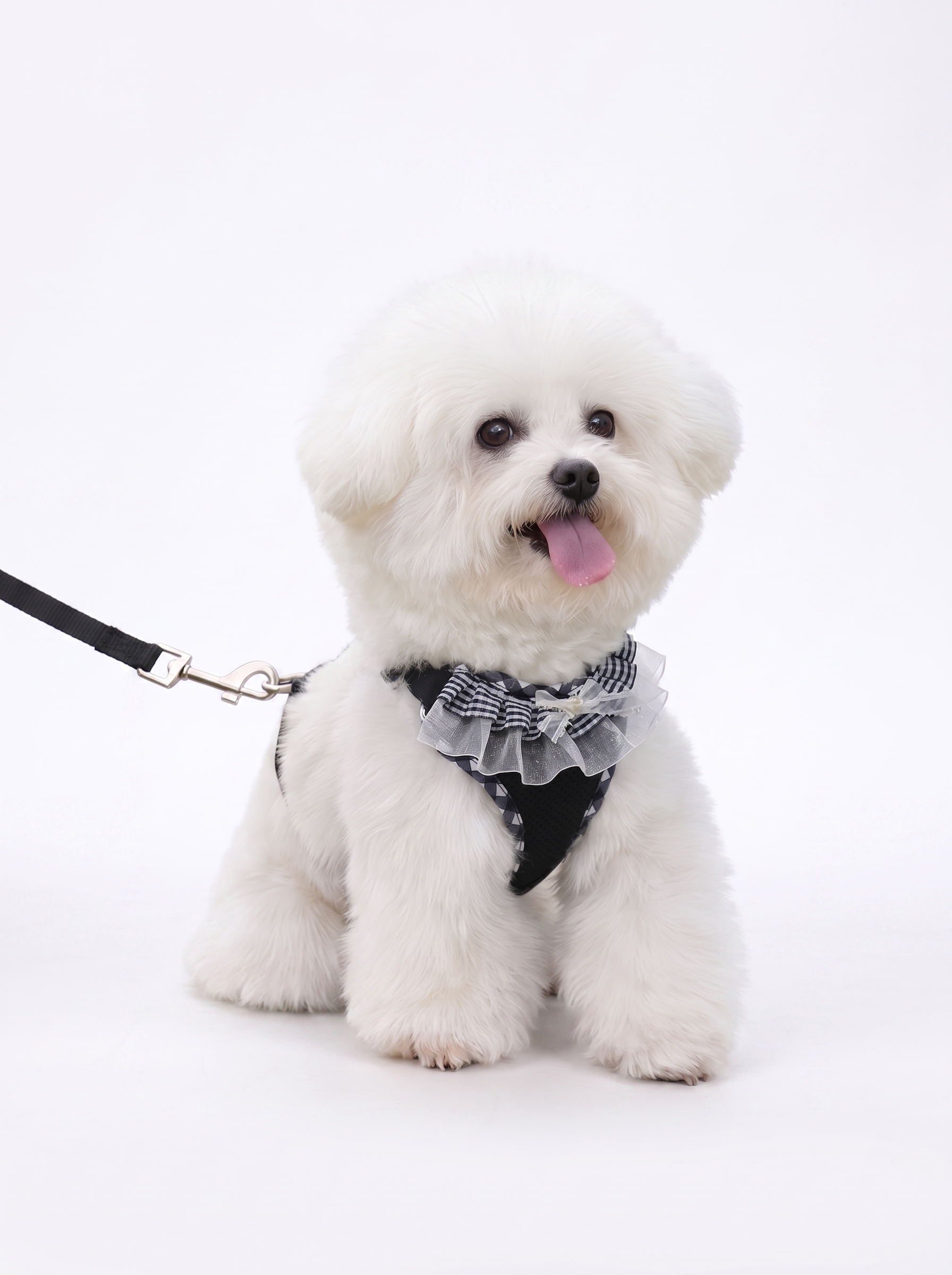 Cute Plaid Mesh Dog Harness & Leash Set - Breathable & Adjustable