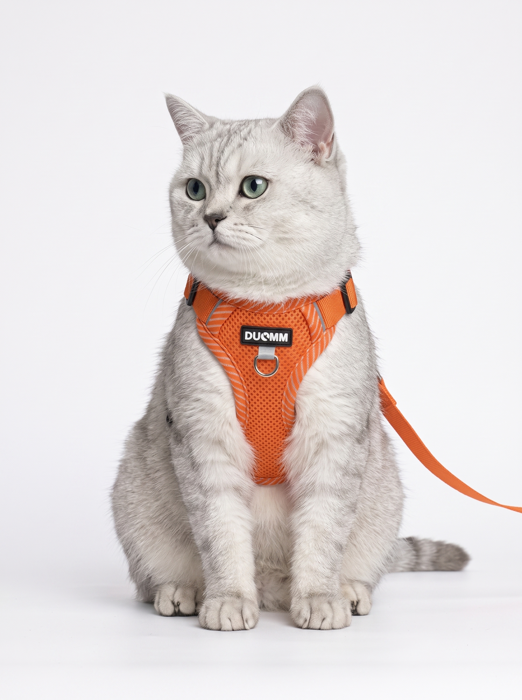 Breathable No-Pull Pet Harness & Leash Set for Dogs & Cats