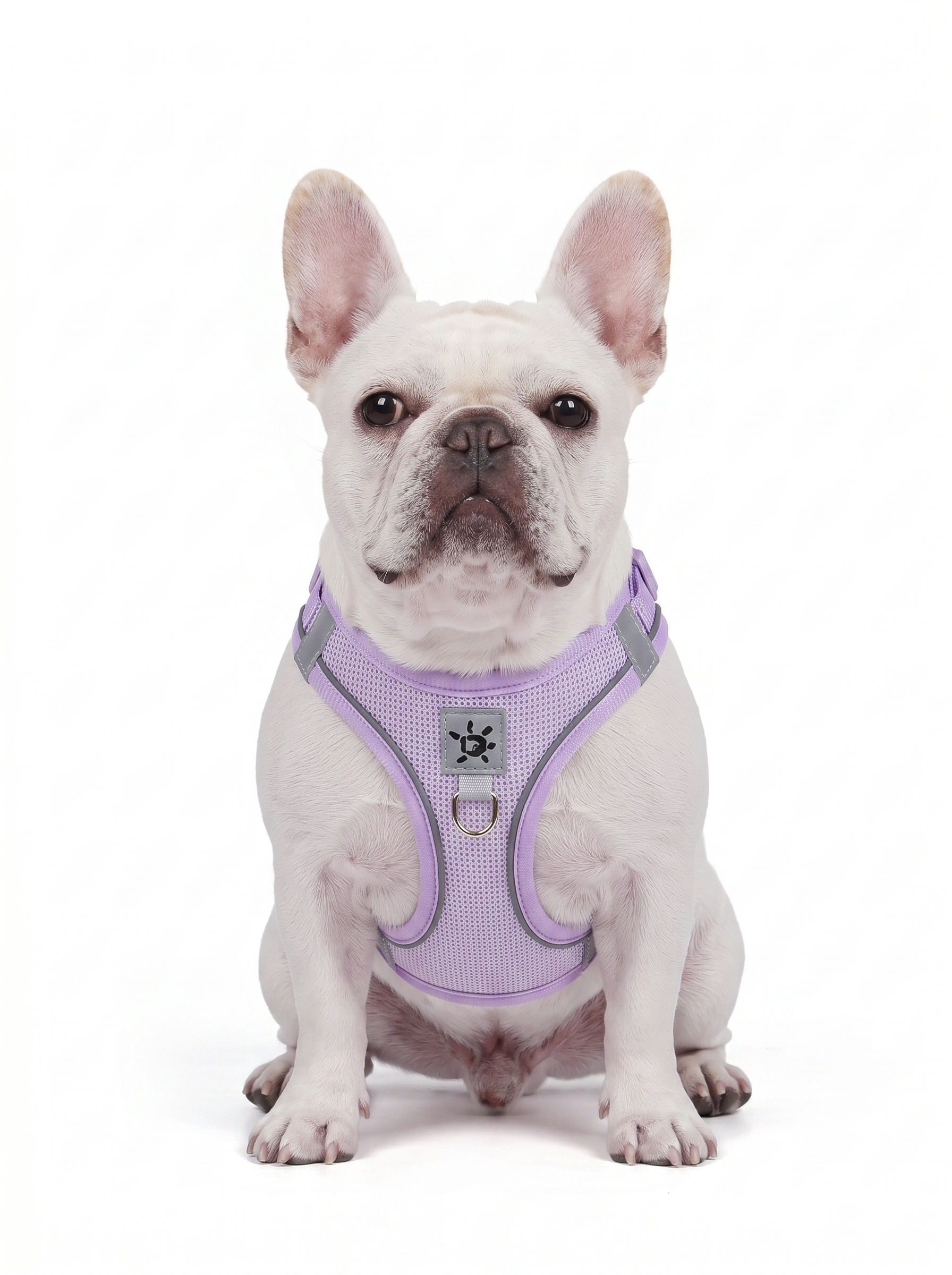 Adjustable Reflective Pet Harness with DIY Patches