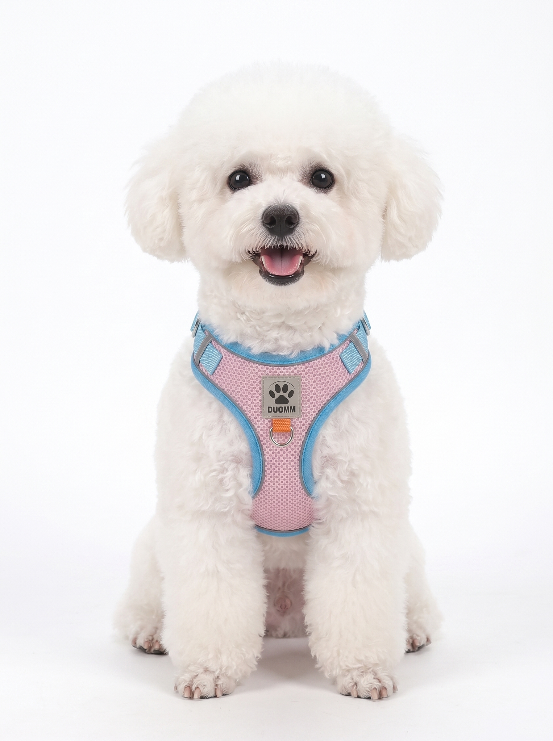 Breathable Mesh Pet Harness & Leash Set - Reflective Safety