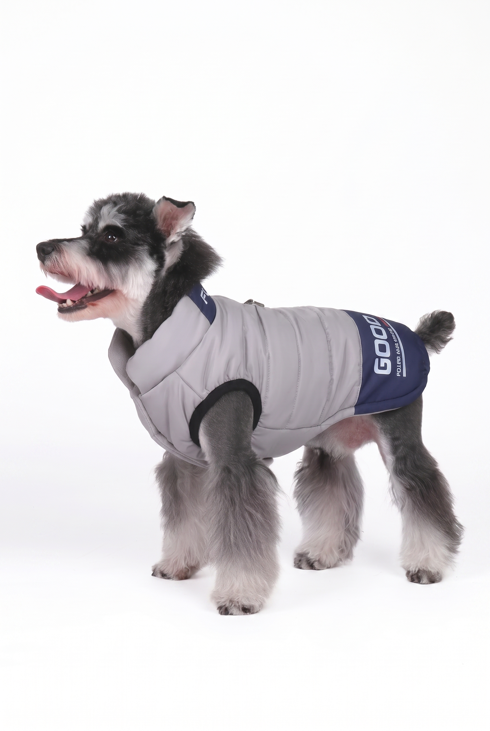 Warm Winter Pet Puffer Vest Coat with D-Ring & Reflective Text