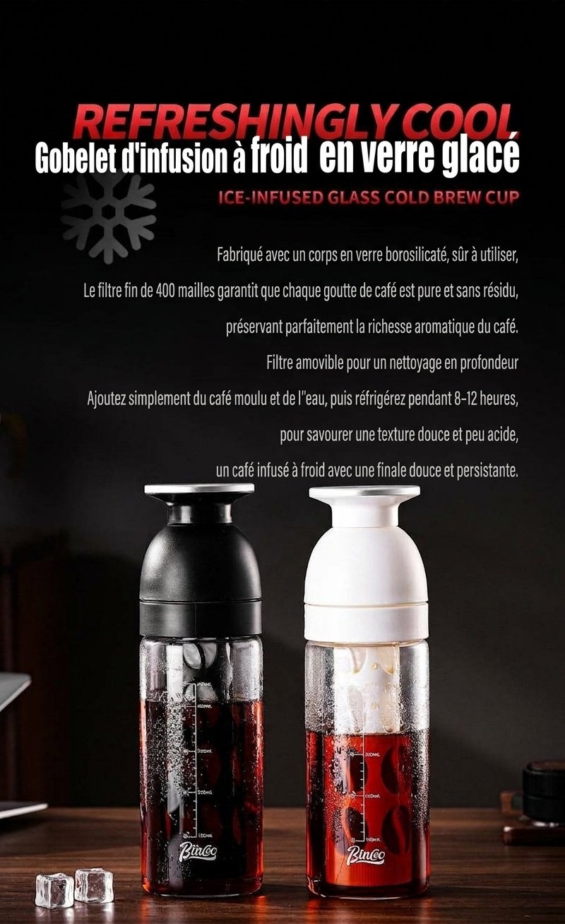 Bouteille infuseur à thé et cafetière à infusion à froid BinCo 600 ml