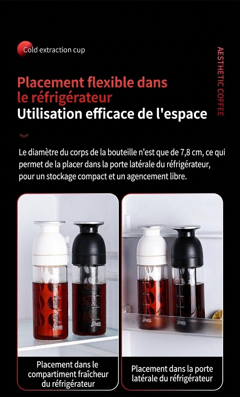 Bouteille infuseur à thé et cafetière à infusion à froid BinCo 600 ml