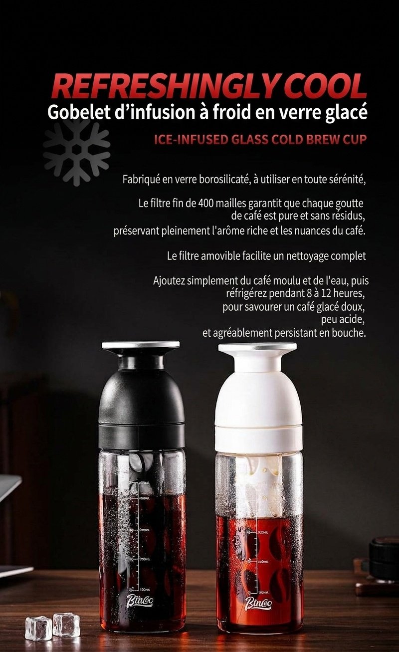 Bouteille infuseur à thé et cafetière à infusion à froid BinCo 600 ml