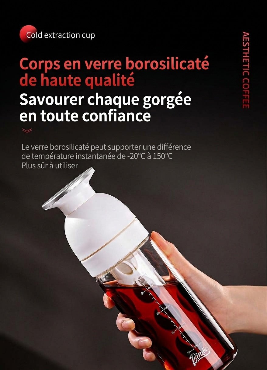 Bouteille infuseur à thé et cafetière à infusion à froid BinCo 600 ml