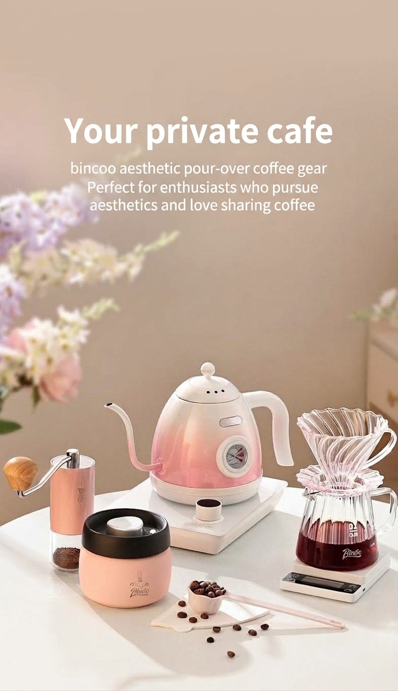 BinCo Smart Electric Gooseneck Kettle with Temp Control