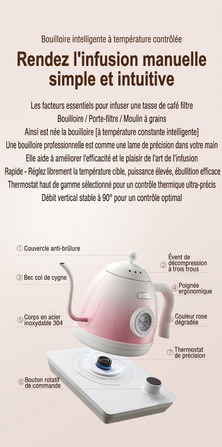 Bouilloire électrique intelligente BinCo à col de cygne avec contrôle de température