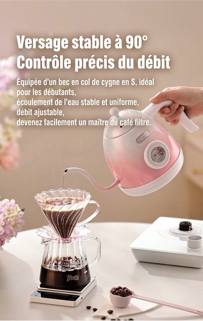 Bouilloire électrique intelligente BinCo à col de cygne avec contrôle de température