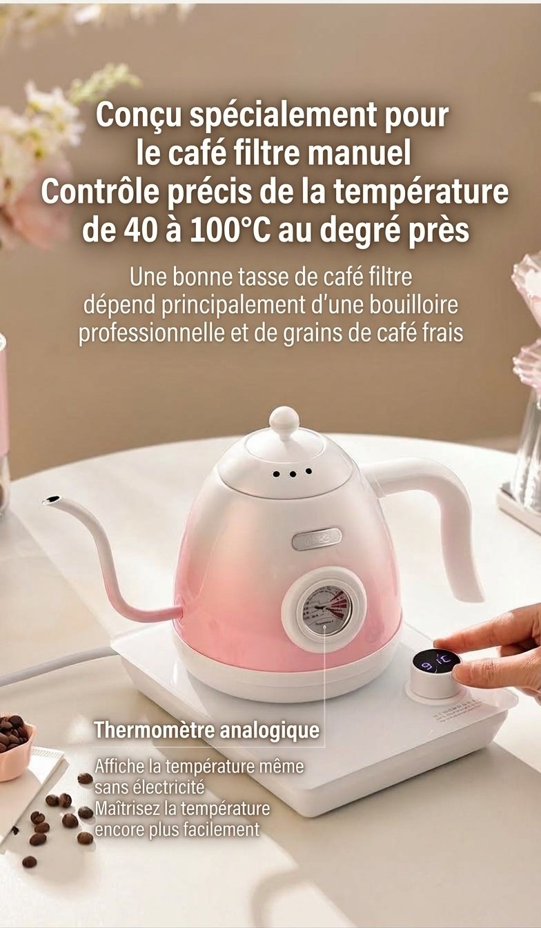 Bouilloire électrique intelligente BinCo à col de cygne avec contrôle de température