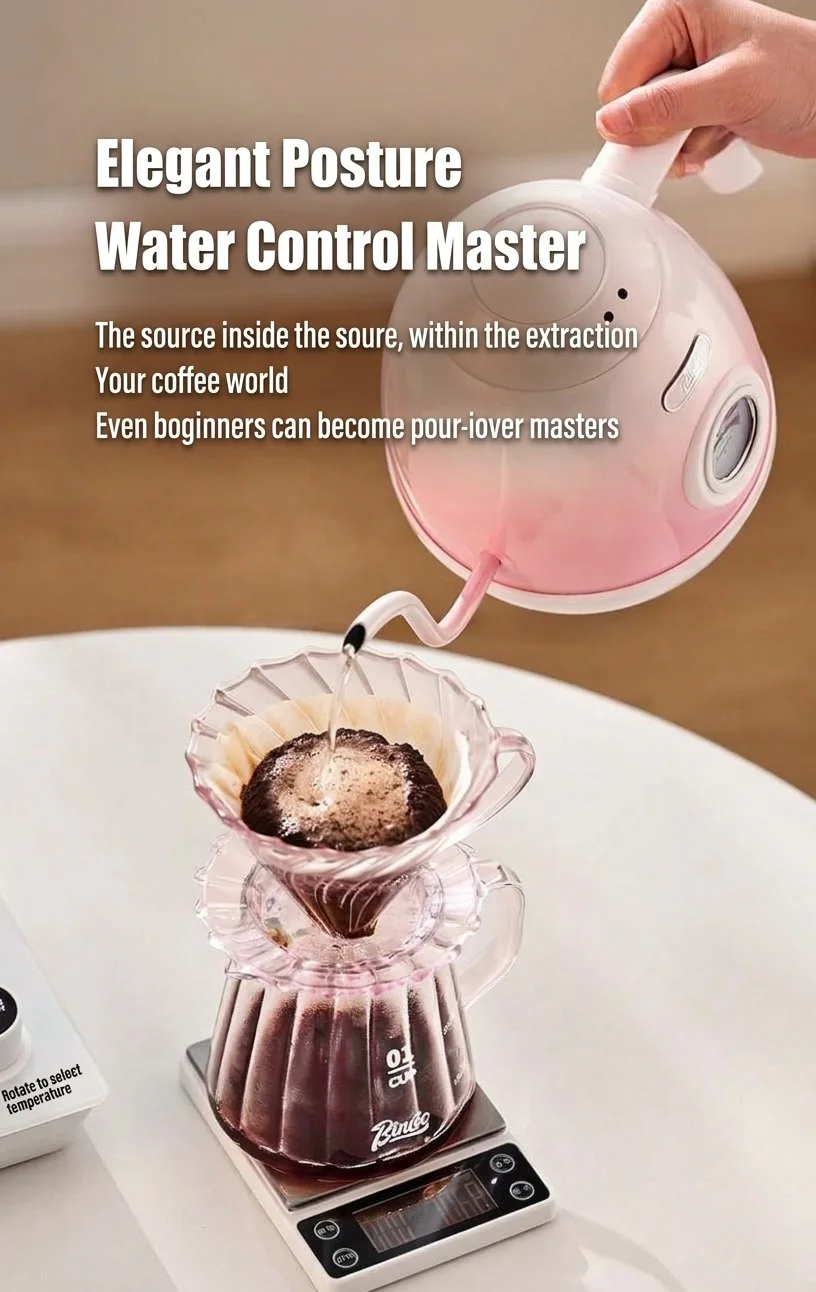 BinCo Smart Electric Gooseneck Kettle with Temp Control