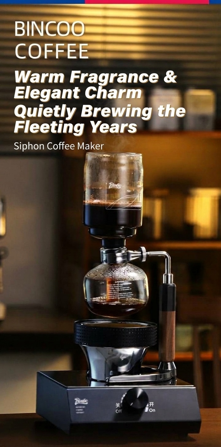 Bincoo Premium Siphon Coffee Maker with Light Wave Stove