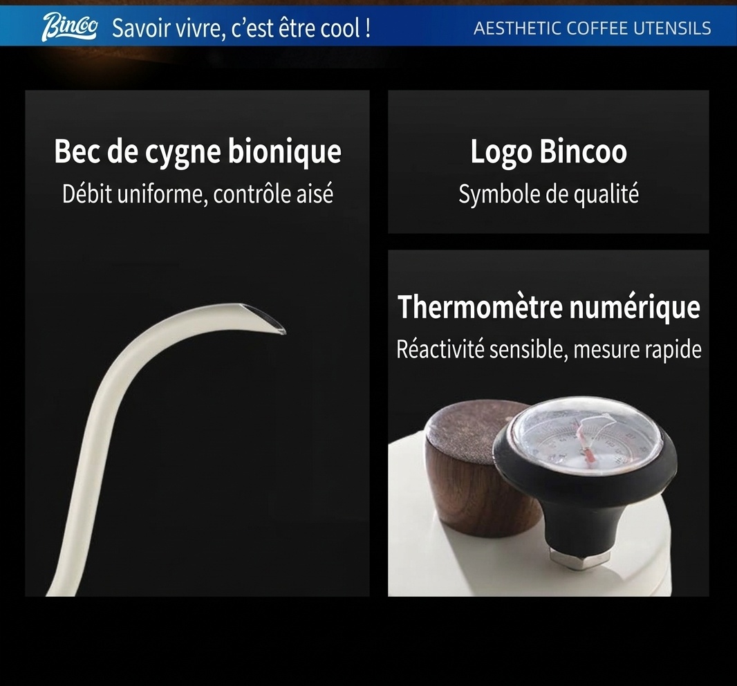 Bouilloire à café à col de cygne haut de gamme avec thermomètre