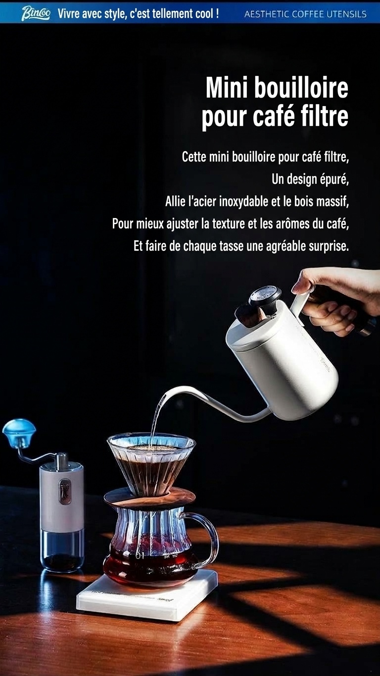 Bouilloire à café à col de cygne haut de gamme avec thermomètre
