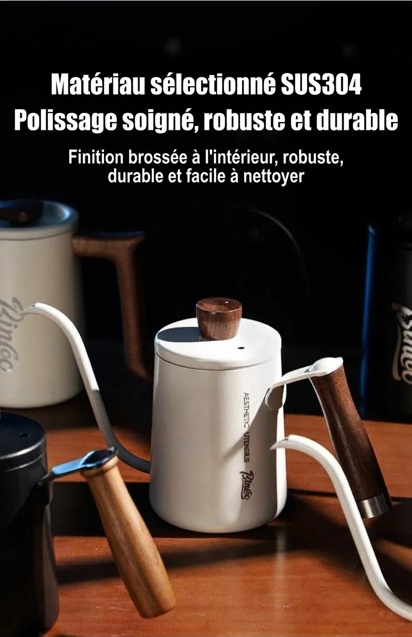 Bouilloire à café à col de cygne haut de gamme avec thermomètre