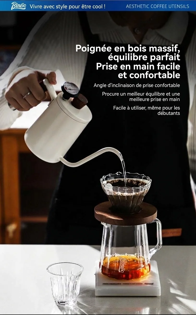 Bouilloire à café à col de cygne haut de gamme avec thermomètre