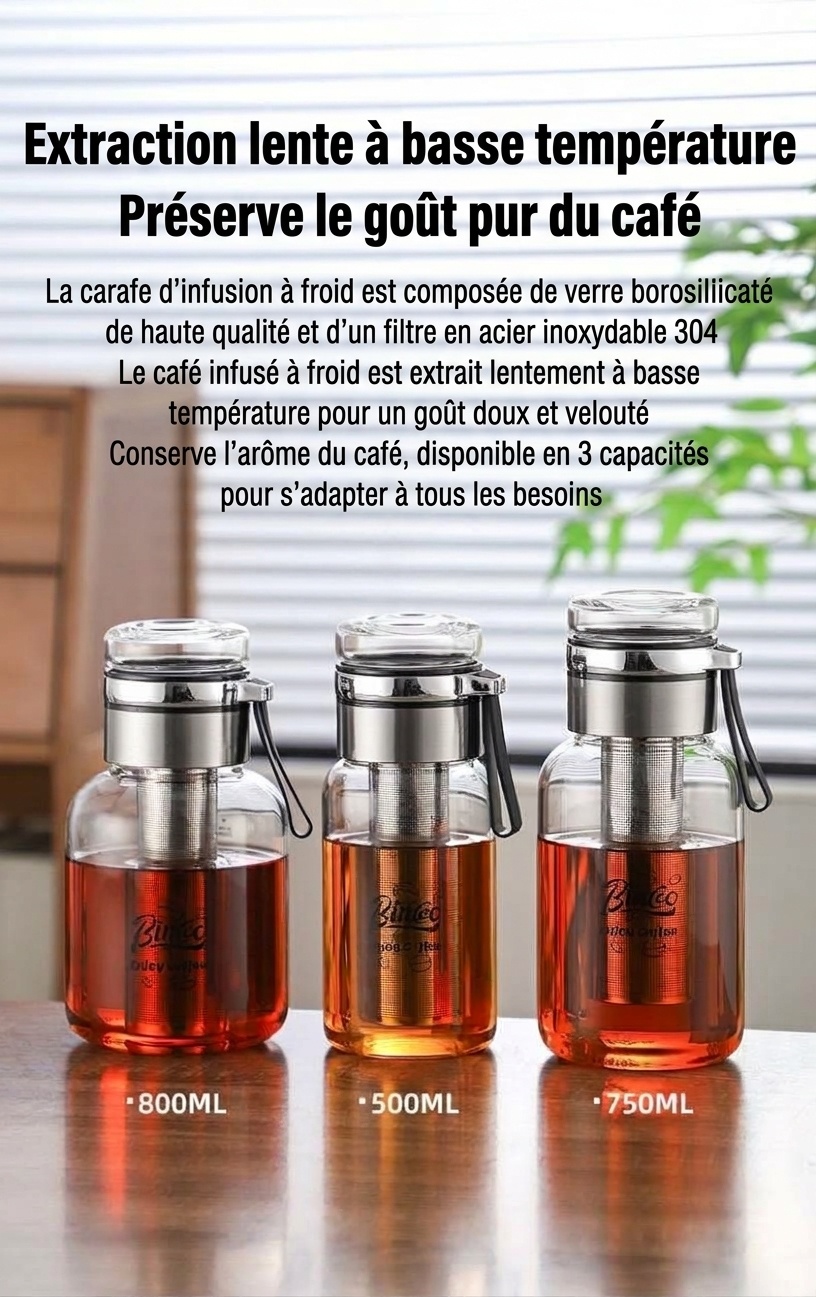 Bouteille infuseur à thé et cafetière à infusion à froid Bincoo en verre