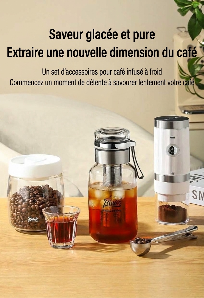 Bouteille infuseur à thé et cafetière à infusion à froid Bincoo en verre