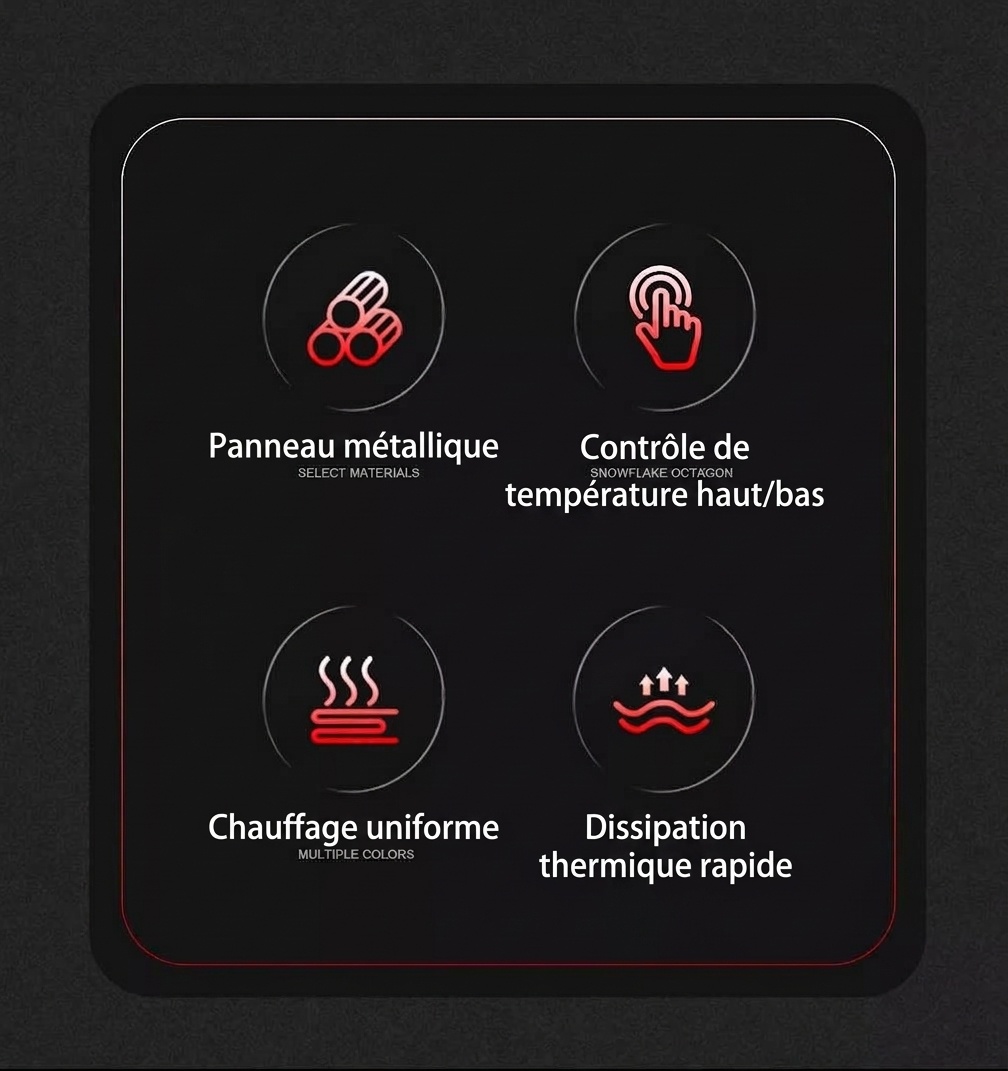 Chauffe-café et plaque chauffante électrique portable Bincoo 500 W