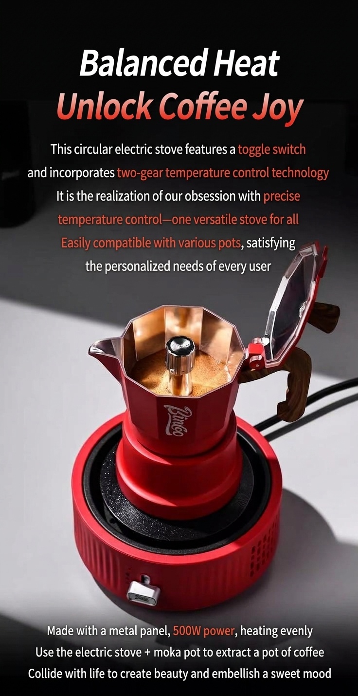 Bincoo Portable Electric Coffee Warmer & Hot Plate 500W