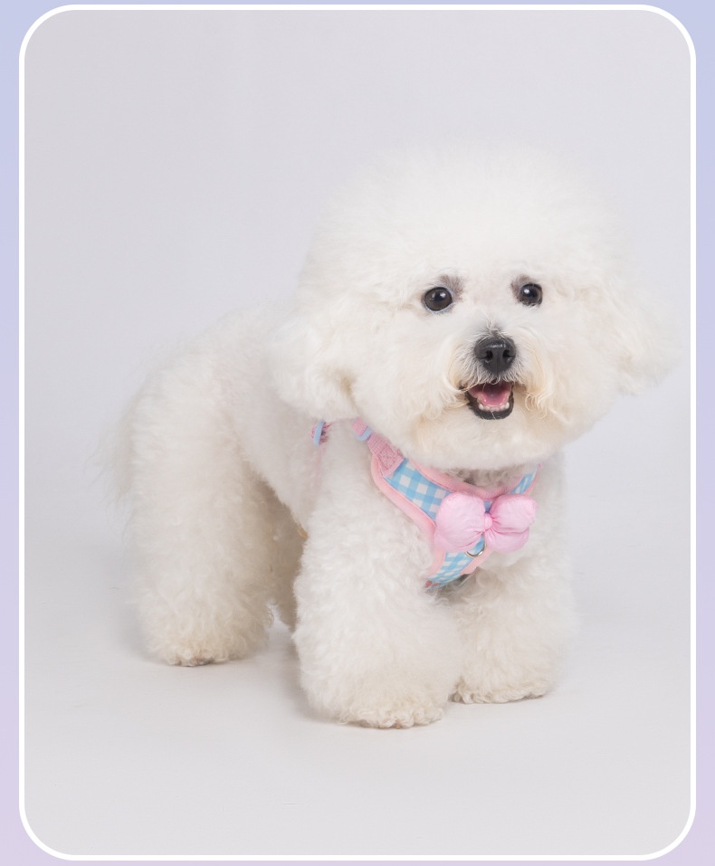 Cute Gingham Pet Harness & Leash Set with Bow - Breathable