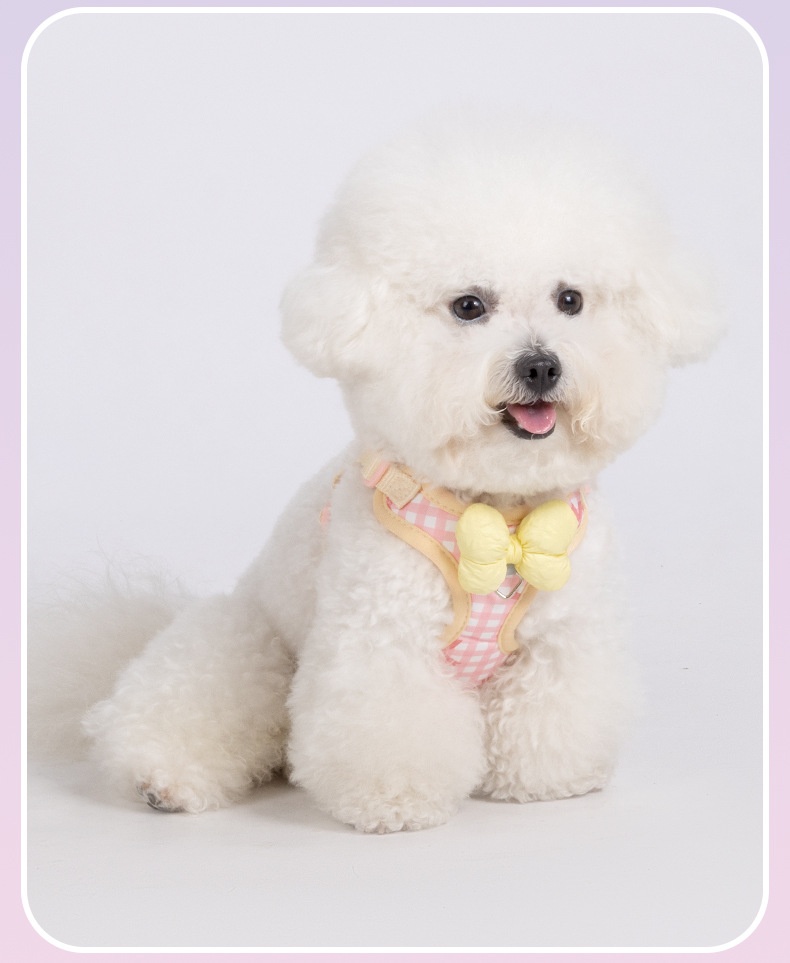 Cute Gingham Pet Harness & Leash Set with Bow - Breathable