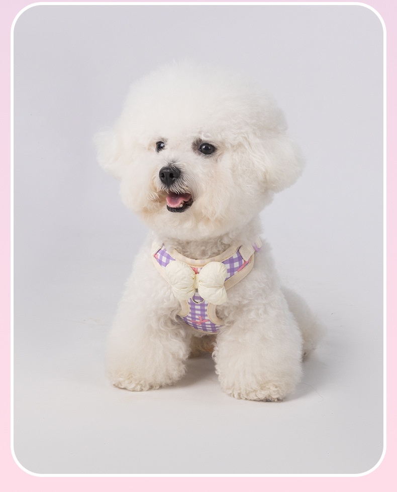 Cute Gingham Pet Harness & Leash Set with Bow - Breathable