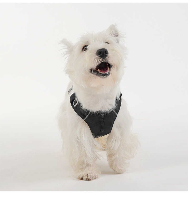 Lightweight Breathable No-Pull Dog Harness with Reflective Trim
