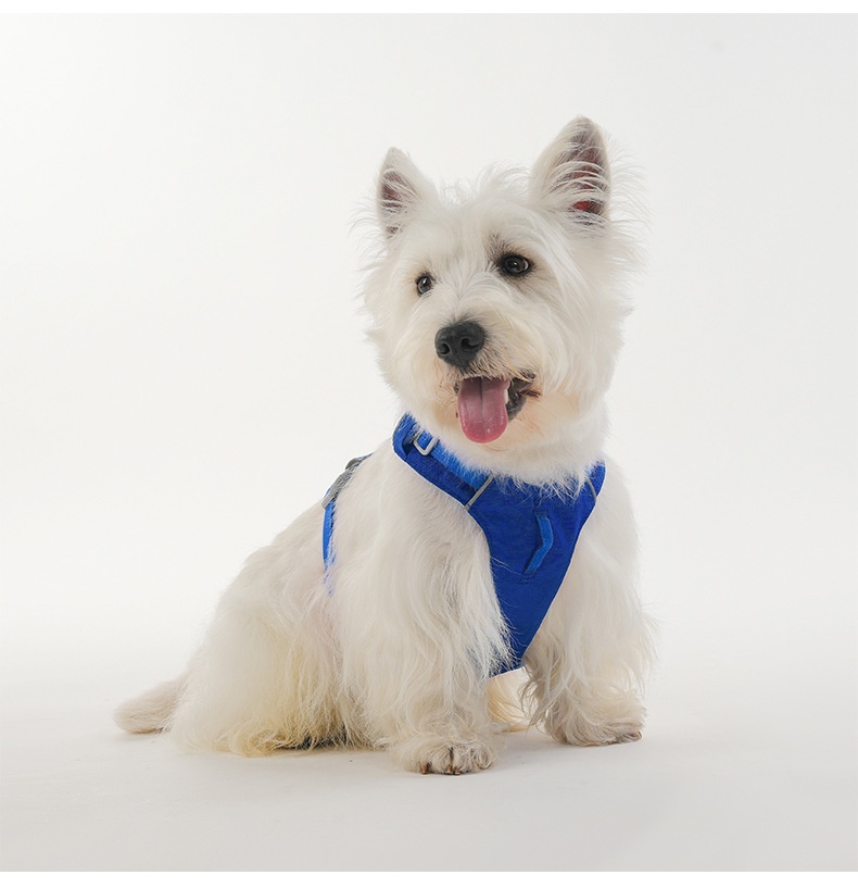 Lightweight Breathable No-Pull Dog Harness with Reflective Trim