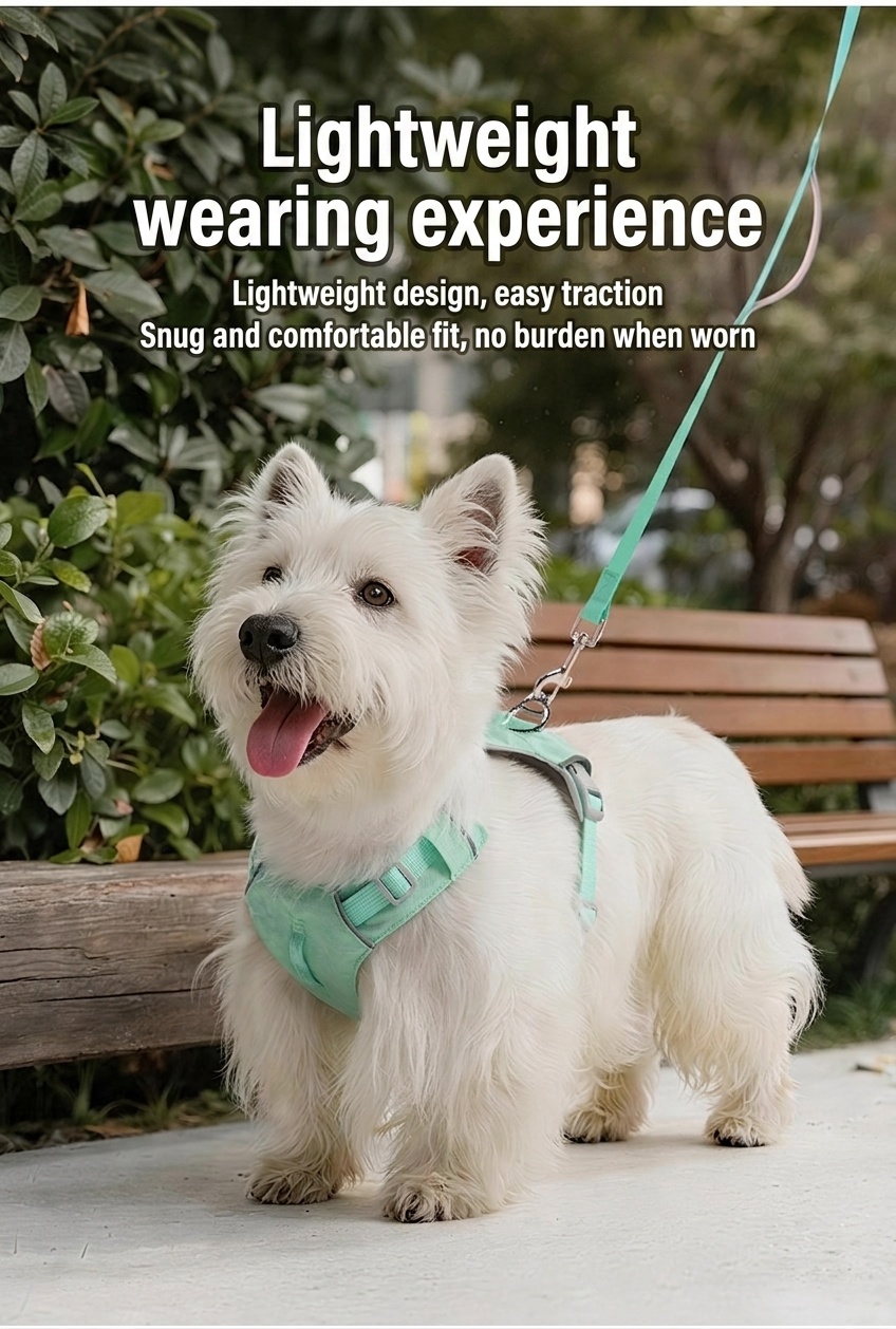 Lightweight Breathable No-Pull Dog Harness with Reflective Trim
