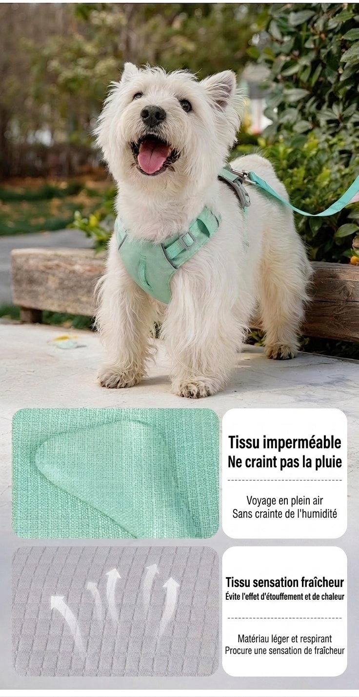 Lightweight Breathable No-Pull Dog Harness with Reflective Trim