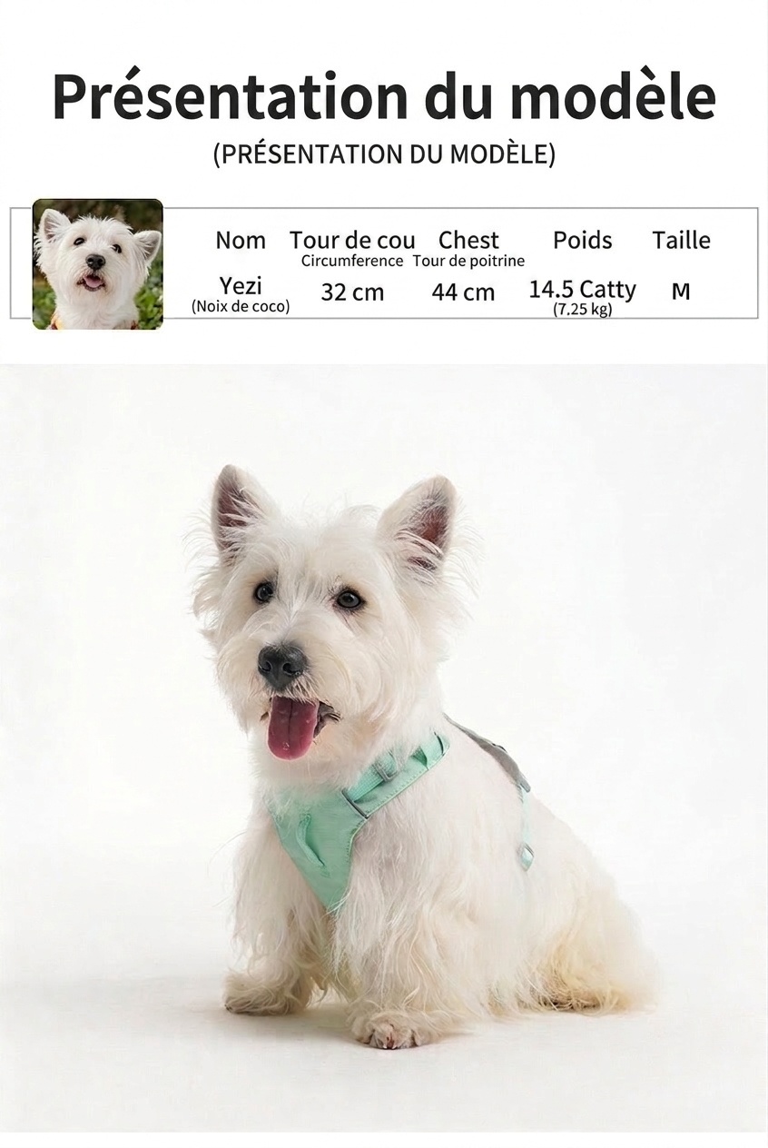 Lightweight Breathable No-Pull Dog Harness with Reflective Trim