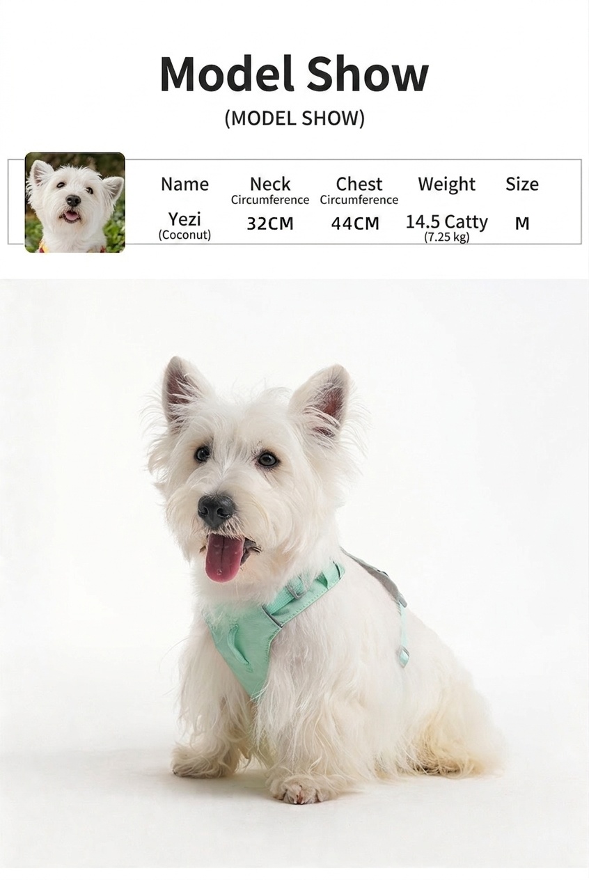 Lightweight Breathable No-Pull Dog Harness with Reflective Trim