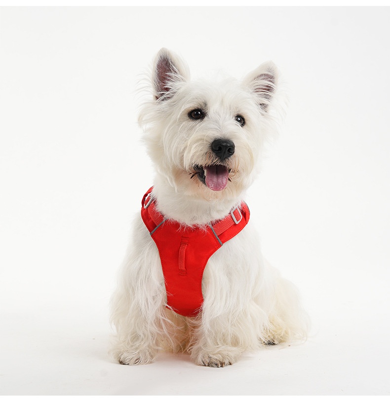 Lightweight Breathable No-Pull Dog Harness with Reflective Trim