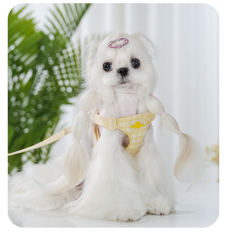 Daisy Plaid Pet Harness & Leash Set - Adjustable & Breathable