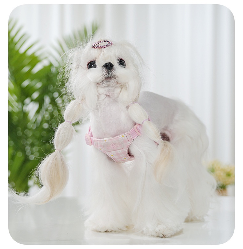 Daisy Plaid Pet Harness & Leash Set - Adjustable & Breathable