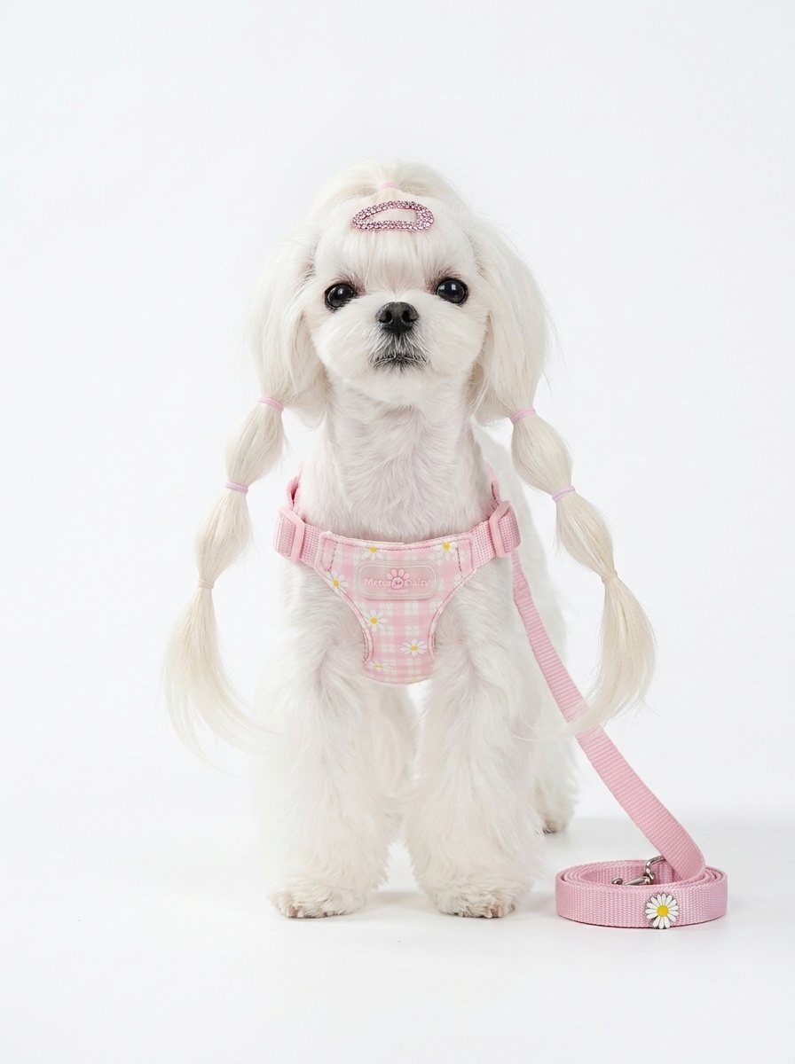 Daisy Plaid Pet Harness & Leash Set - Adjustable & Breathable